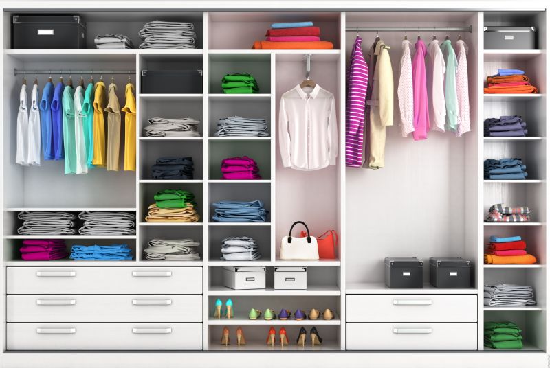 Closet Organization Vs Diy Storage Systems